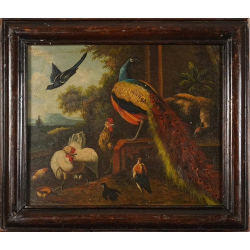 115 - Peacock, chickens and birds, Old Master Style oil on board, mounted and framed, 53cm x 43cm excludin... 