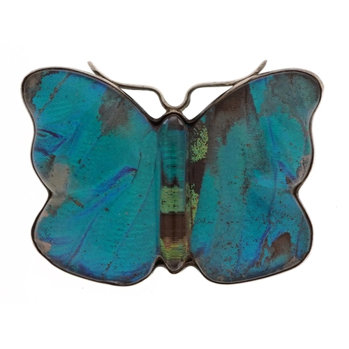 2169 - Silver butterfly wing butterfly brooch, 3.0cm wide, 6.8g