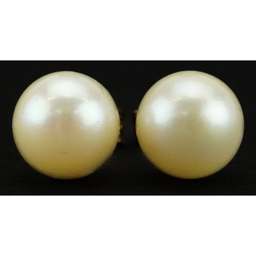 2313 - Pair of 9ct gold cultured pearl stud earrings, 7.0mm in diameter, 1.3g