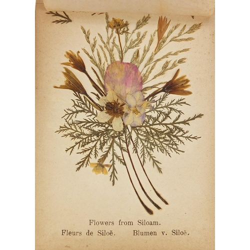 1310 - Jerusalem olive wood album of pressed flowers, 13cm wide