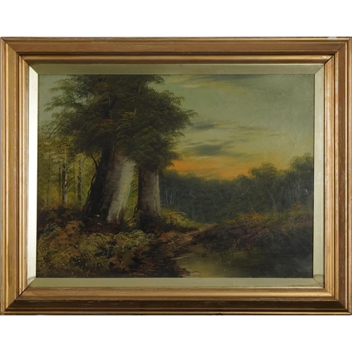 471 - Woodland landscape with trees, oil on canvas, possibly 19th century, indistinctly signed and inscrib... 