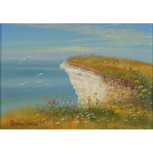 599 - Christopher Osborne - White cliff edge, oil on board, details verso, mounted and framed, 25cm x 17cm... 