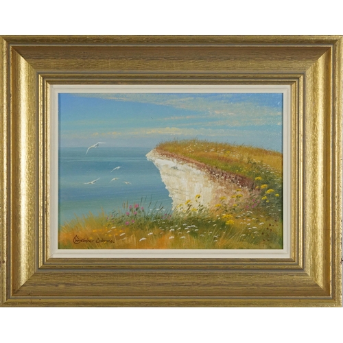 599 - Christopher Osborne - White cliff edge, oil on board, details verso, mounted and framed, 25cm x 17cm... 