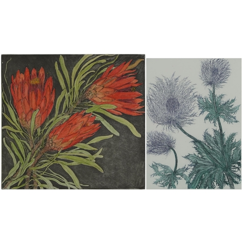 473A - Audrey Scovell - Thistles and Protea, two prints in colour comprising one artist's proof and one lim... 