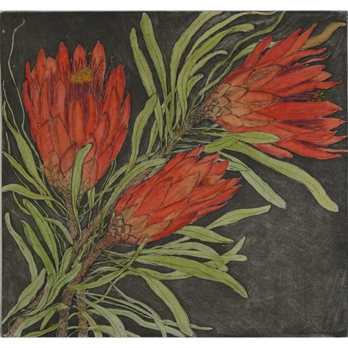 473A - Audrey Scovell - Thistles and Protea, two prints in colour comprising one artist's proof and one lim... 