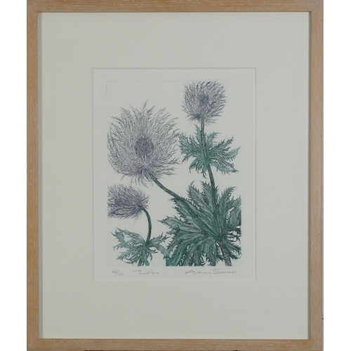 473A - Audrey Scovell - Thistles and Protea, two prints in colour comprising one artist's proof and one lim... 