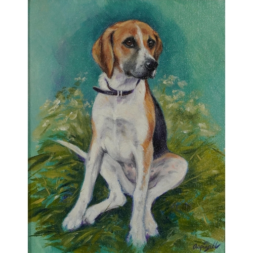 117 - Sarah Aspinall - Seated Foxhound puppy, oil on canvas, label verso with price of £750, mounted and f... 