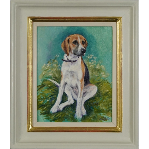 117 - Sarah Aspinall - Seated Foxhound puppy, oil on canvas, label verso with price of £750, mounted and f... 