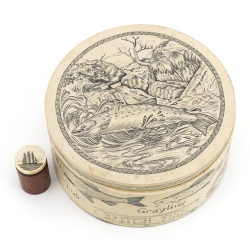 1304 - Scrimshaw style box and cover decorated with British fish and a smaller example, 13cm in diameter