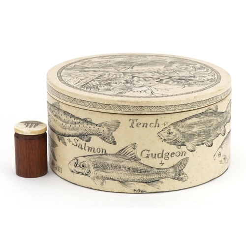 1304 - Scrimshaw style box and cover decorated with British fish and a smaller example, 13cm in diameter