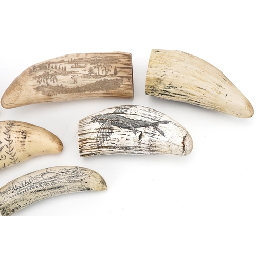 39 - Six scrimshaw style decorative tusks decorated with figures and ships, the largest 16cm high