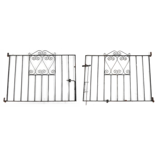 1141A - Pair of black painted wrought iron garden gates, 91cm high x approximately 250cm wide