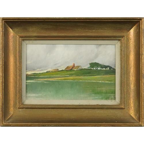261 - Windswept landscape with thatched cottages, oil on board, various inscriptions and Winsor & Newton s... 