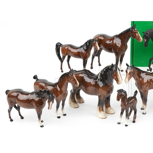 452 - Ten Beswick brown horses and a Beswick Ware by Royal Doulton Black Beauty with box, the largest 25cm... 