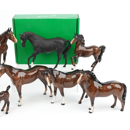 452 - Ten Beswick brown horses and a Beswick Ware by Royal Doulton Black Beauty with box, the largest 25cm... 