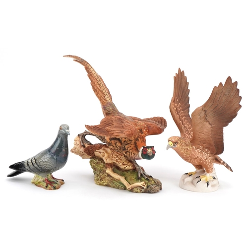 441 - Three Beswick birds, two with matt glaze comprising pheasant, golden eagle and pigeon numbered 1383,... 