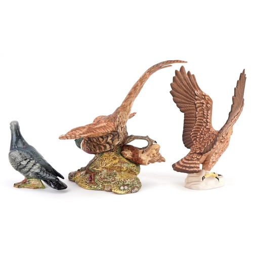 441 - Three Beswick birds, two with matt glaze comprising pheasant, golden eagle and pigeon numbered 1383,... 