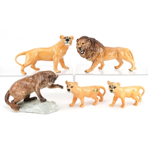 435 - Five Beswick animals comprising mountain lion, lion & lioness and two lion cubs, the largest 23cm in... 