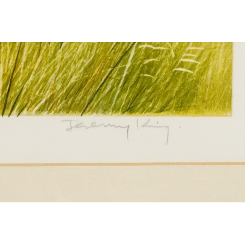 450 - Jeremy King - Esthwaite Water, Cumbria, pencil signed lithograph in colour, limited edition 175/200 ... 