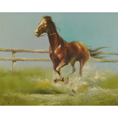 492 - Study of a galloping horse, equestrian interest oil on canvas, indistinctly signed, possibly John, m... 