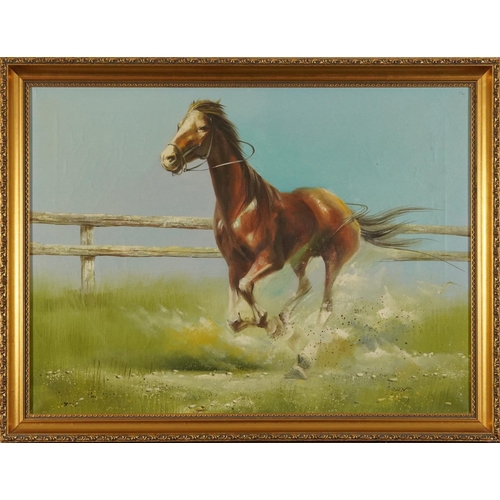 492 - Study of a galloping horse, equestrian interest oil on canvas, indistinctly signed, possibly John, m... 