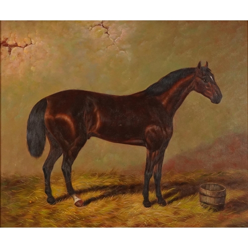 273 - Study of a bay horse, equestrian interest oil on canvas, indistinctly signed, mounted and framed, 60... 