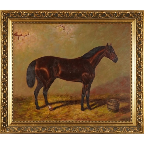 273 - Study of a bay horse, equestrian interest oil on canvas, indistinctly signed, mounted and framed, 60... 