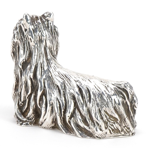 1236 - 925 silver filled study of a Yorkshire Terrier, 7cm in length, 78.8g