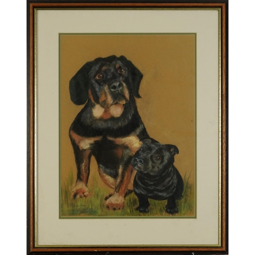 1333 - Study of two seated dogs, pastel, indistinctly signed, possibly Rosemary Woodley, mounted, framed an... 