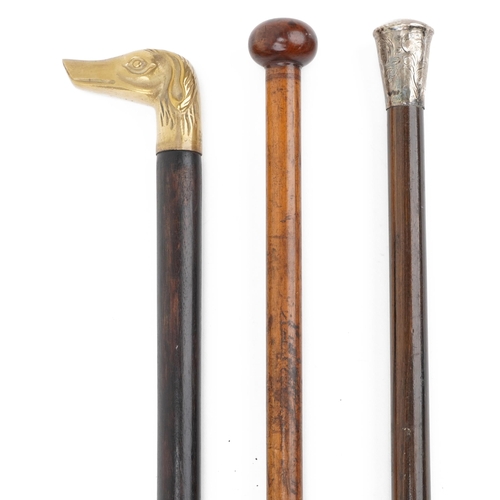 606 - Three wooden walking sticks including a coromandel example with silver pommel, 89cm in length