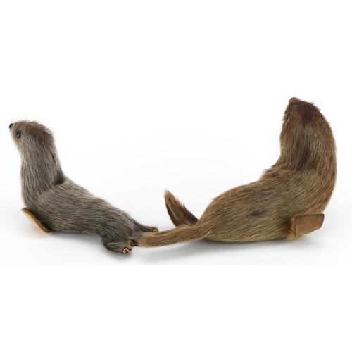 399A - Two taxidermy interest otter and sealskin covered animals, 17cm in length