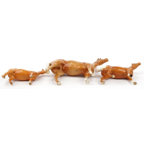 455 - Three graduated Beswick tan horses, the largest 35cm in length