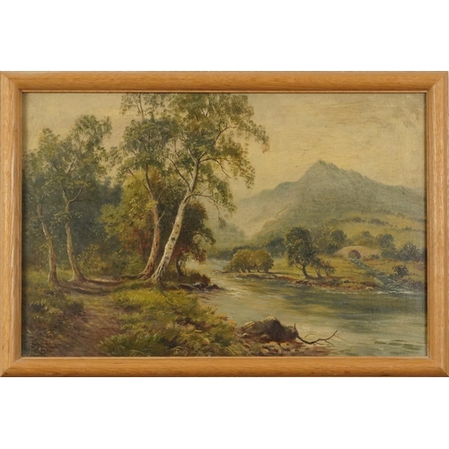 406 - River landscape with woodland and bridge, 19th century oil, indistinctly monogrammed, possibly F P, ... 