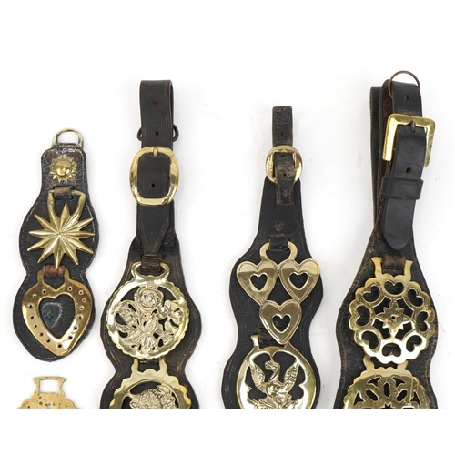 621 - Collection of Victorian and later horse brasses