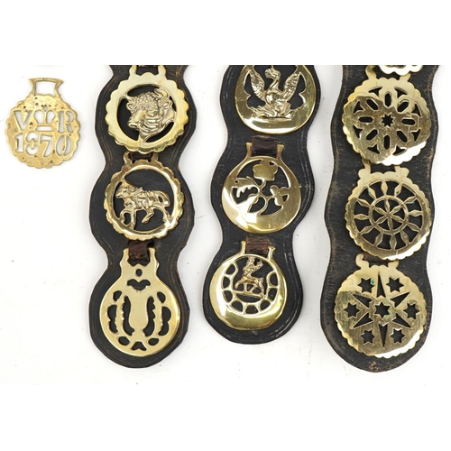 621 - Collection of Victorian and later horse brasses