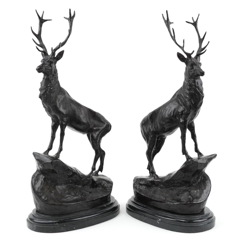 171 - After Joules Moigniez, pair of large patinated bronze stags raised on oval marble bases, 74cm high