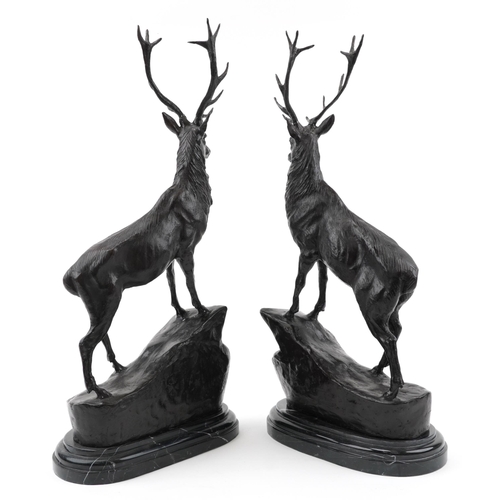 171 - After Joules Moigniez, pair of large patinated bronze stags raised on oval marble bases, 74cm high