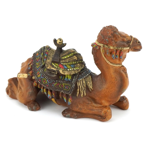 177 - Manner of Franz Xaver Bergmann, cold painted metal inkwell in the form of a camel with ceramic liner... 