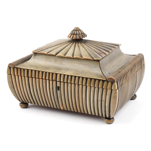 71 - Anglo Indian sandalwood and horn workbox with fitted lift out interior, possibly rhinoceros horn, 24... 