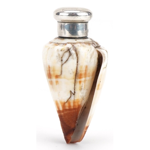 85 - Samuel Mordan & Co, Victorian conch shell scent bottle with silver lid, London 1885, 7cm high