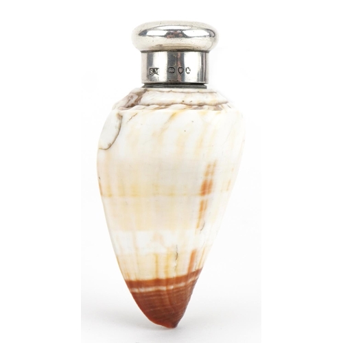 85 - Samuel Mordan & Co, Victorian conch shell scent bottle with silver lid, London 1885, 7cm high