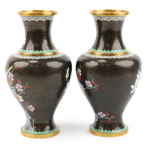 155 - Large pair of Chinese cloisonne baluster vases enamelled with birds amongst prunus flowers, 32cm hig... 