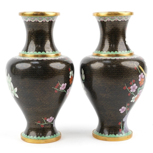 155 - Large pair of Chinese cloisonne baluster vases enamelled with birds amongst prunus flowers, 32cm hig... 