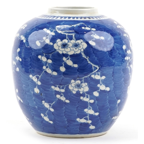 274 - Unusually large Chinese blue and white porcelain ginger jar hand painted with prunus flowers, four f... 