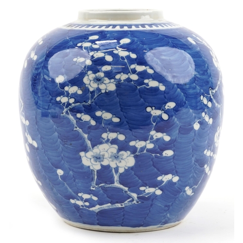 274 - Unusually large Chinese blue and white porcelain ginger jar hand painted with prunus flowers, four f... 