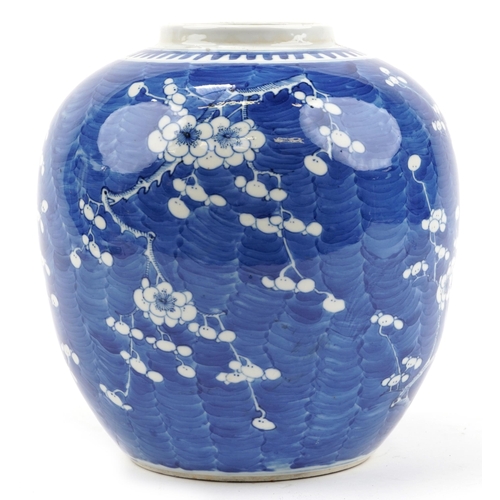 274 - Unusually large Chinese blue and white porcelain ginger jar hand painted with prunus flowers, four f... 