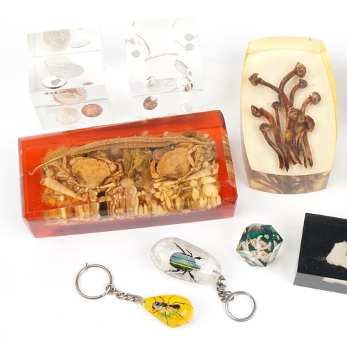 410 - Taxidermy interest acrylic paperweights and keyrings including various sea creatures and insects, th... 