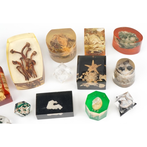 410 - Taxidermy interest acrylic paperweights and keyrings including various sea creatures and insects, th... 