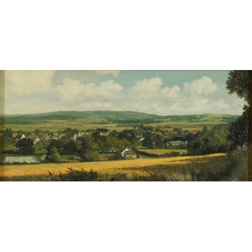 572 - Oliver Ommanney - Amberley from Kithurst Hill and Arundel Cathedral, pair of oil on boards, each wit... 