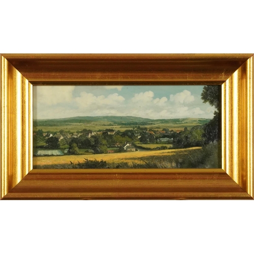 572 - Oliver Ommanney - Amberley from Kithurst Hill and Arundel Cathedral, pair of oil on boards, each wit... 